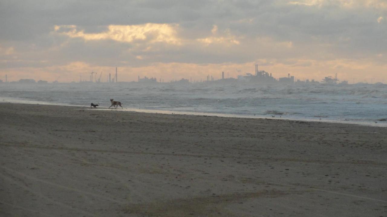 Apt 6 Pers. Duplex Vue Mer Avec Charme De L'Ancien Bray-Dunes Kültér fotó